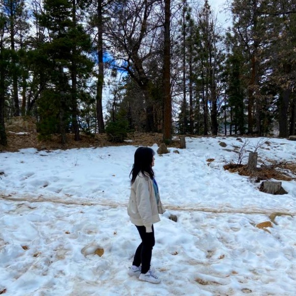 Winter Jacket - Picture 6 of 7